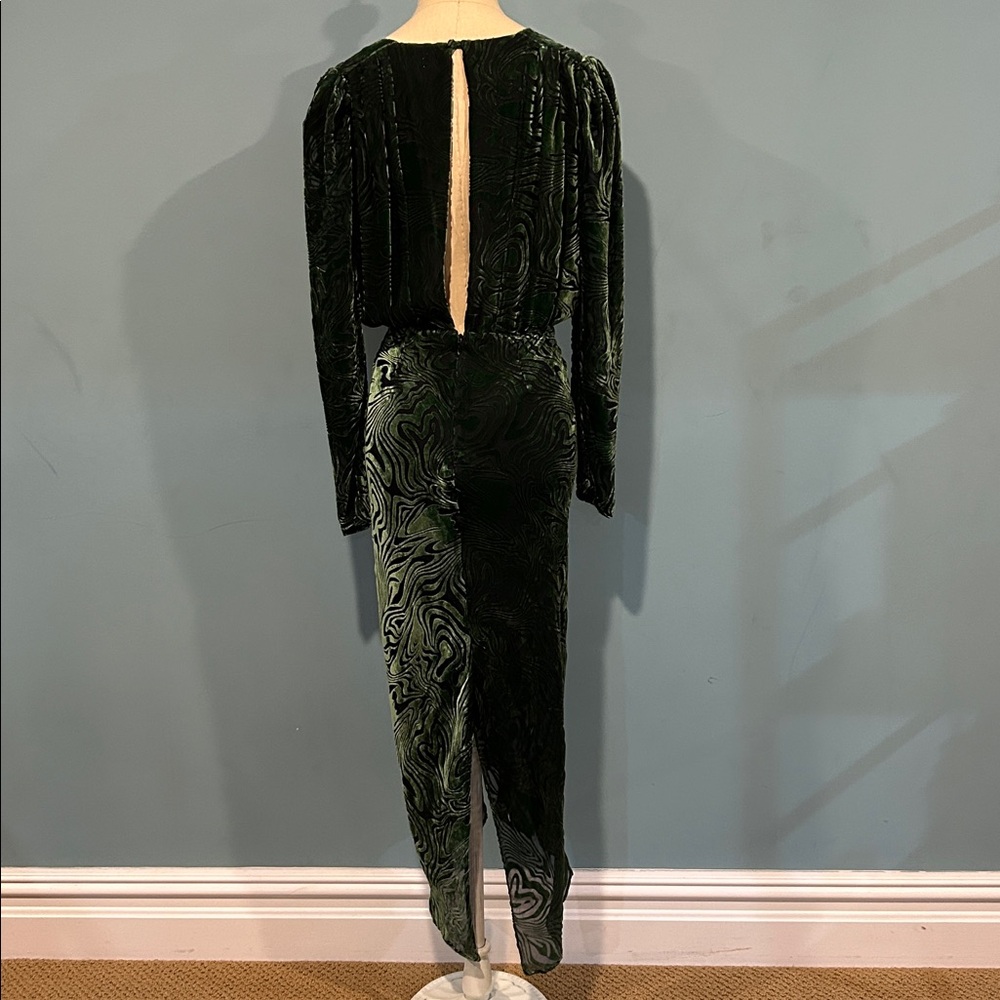 Ronny Kobo Astrid Dress size Small Burnout Velvet Green Black Silk Blend - Picture 3 of 16